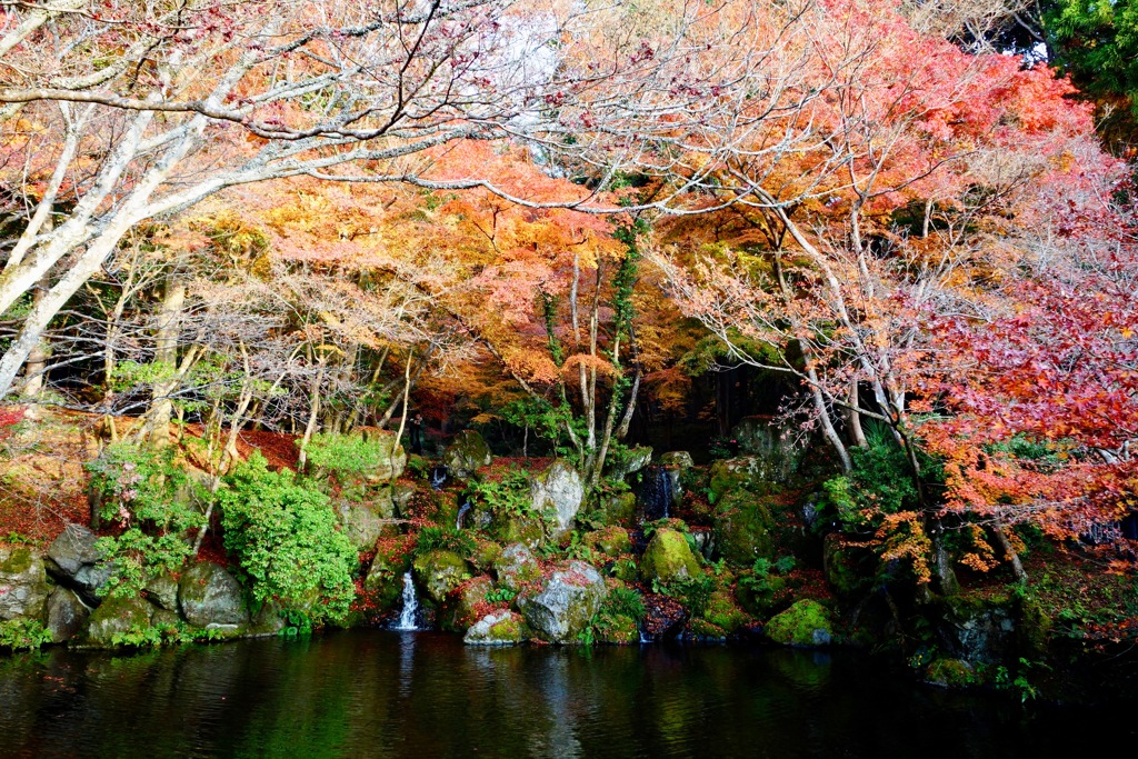 醍醐寺DSC01752