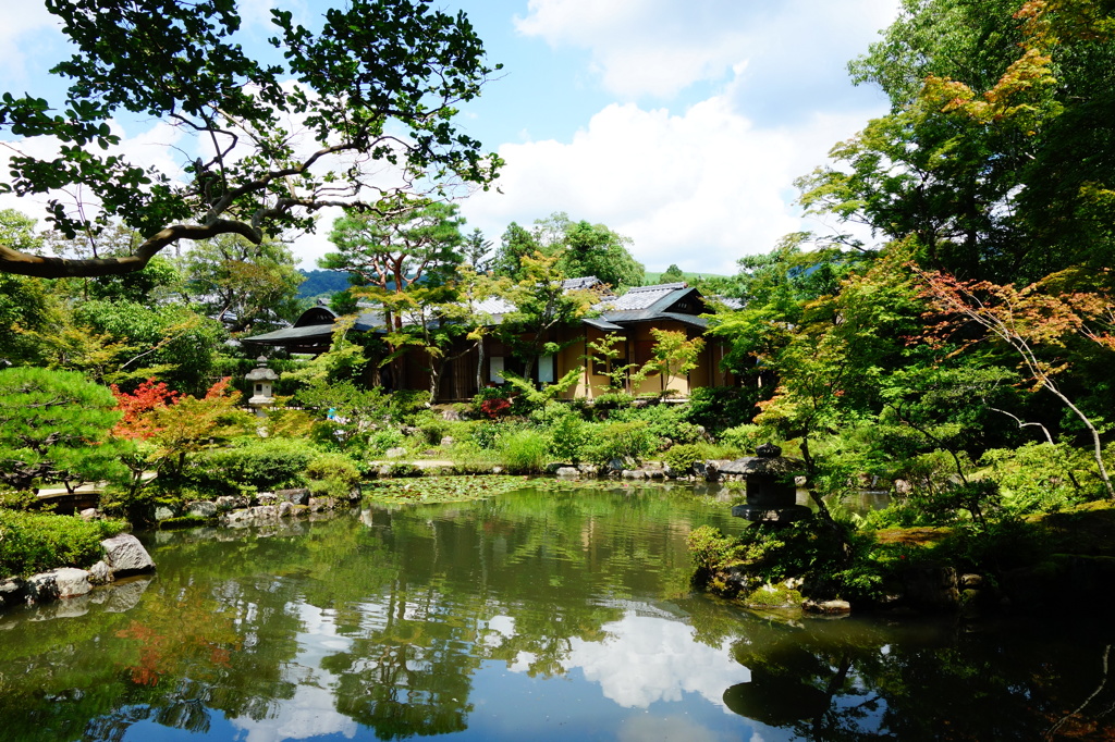 奈良　衣水園DSC02010
