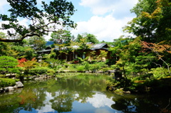 奈良　衣水園DSC02010