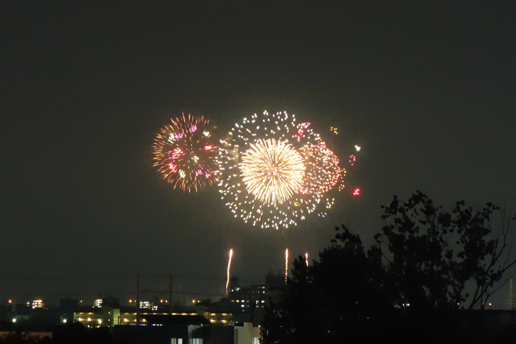 PL花火DSC02166