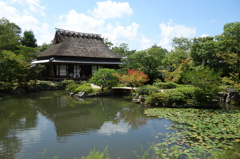 奈良　衣水園DSC02029