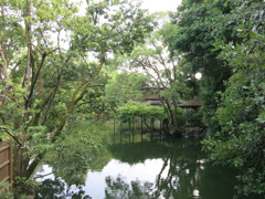 京都御苑　九条家　拾翠亭MG_0801