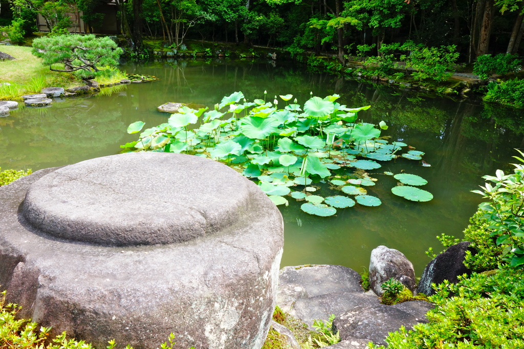 奈良依水園DSC02091
