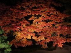 京　南禅寺IMG_3664