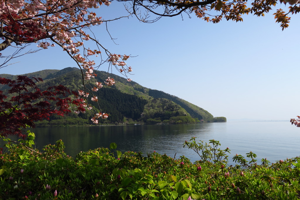 湖北IMG_0909