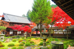 天野山金剛寺紅葉　令和元年IMG_0074