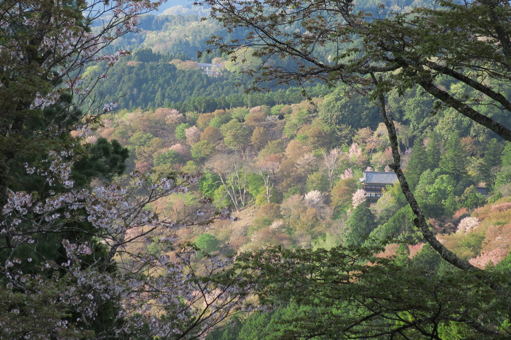 吉野山IMG_0750