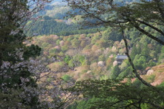吉野山IMG_0750