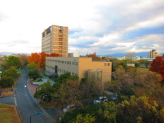 晩秋IMG_4027