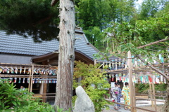 正寿院DSC09828