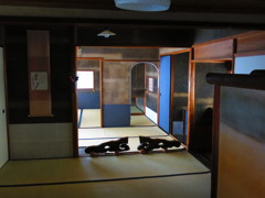 京都　大徳寺　書院造りIMG_5327