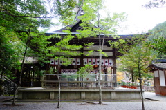 DSC06673