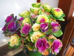 花IMG_5292