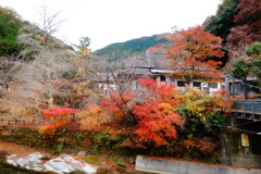 DSC06589