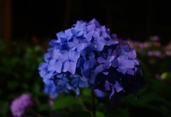DSC09028