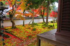 天野山金剛寺紅葉　令和元年IMG_0060