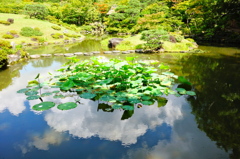 奈良依水園DSC02099