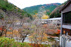 DSC06566