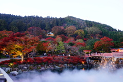 勝尾寺DSC00785