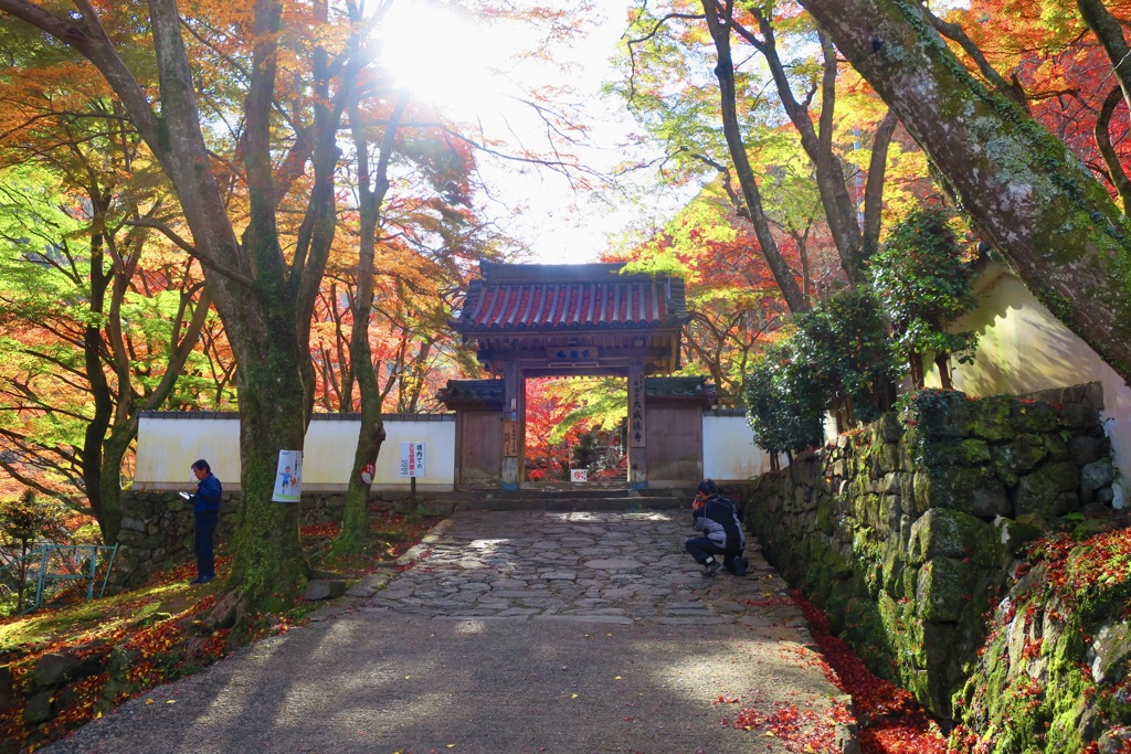 大威徳寺IMG_0161