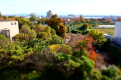 DSC06900