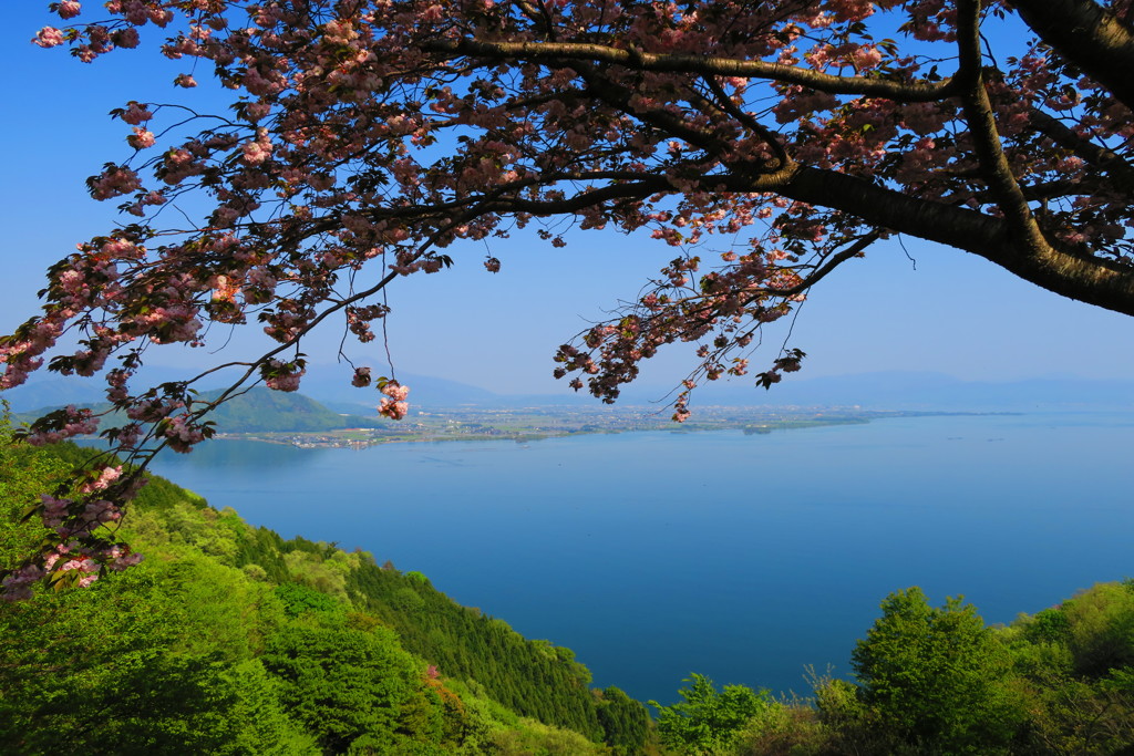 琵琶湖IMG_0972