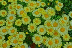DSC07812
