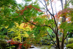 松尾寺DSC06418