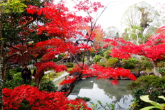 松尾寺DSC06369