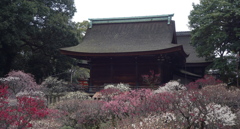 DSC01360