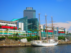 南港IMG_1704