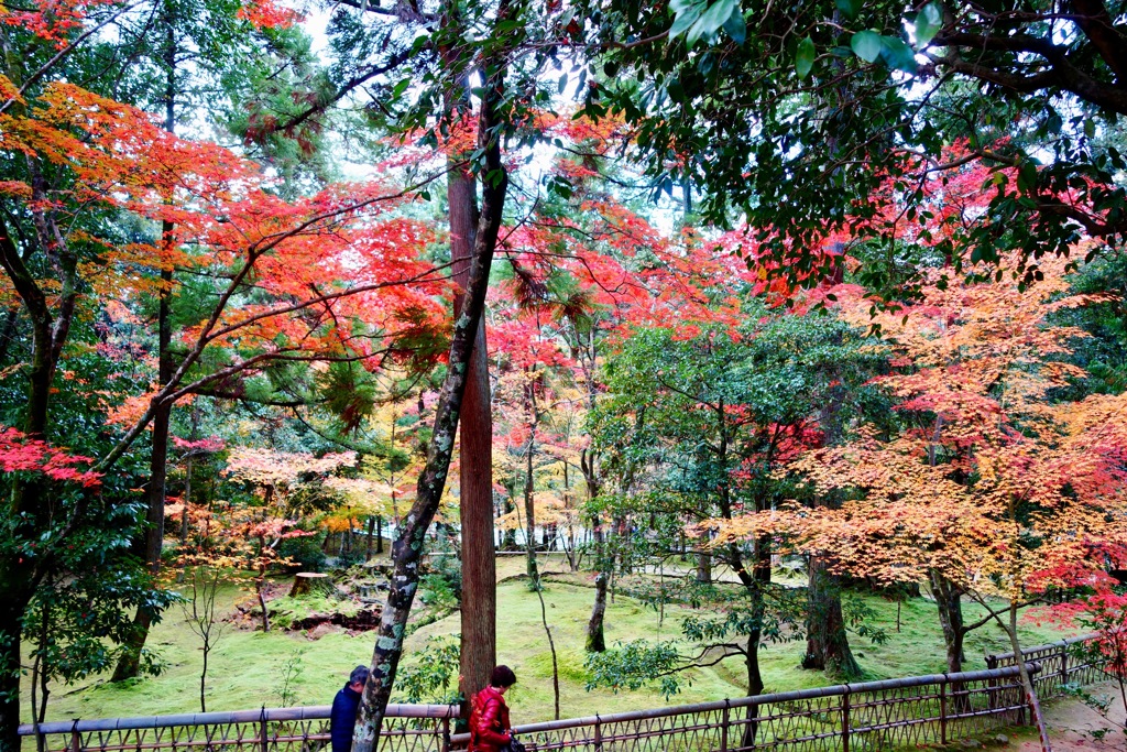 湖東三山　西明寺DSC01279