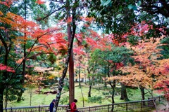 湖東三山　西明寺DSC01279