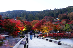 勝尾寺DSC00784
