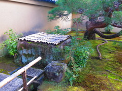 京都　大徳寺　庭IMG_5346