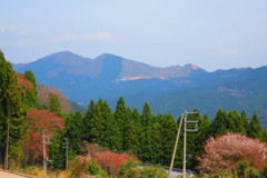 IMG_7685