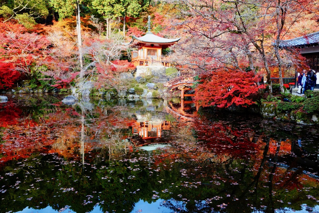 醍醐寺DSC01739