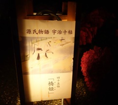 DSC08960