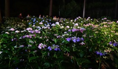 DSC09027