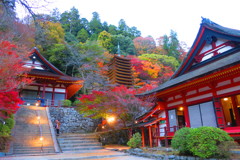 談山神社IMG_5197