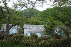 廃ペンション　DSC08213