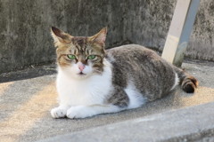 IMG_1356