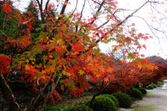 DSC02648