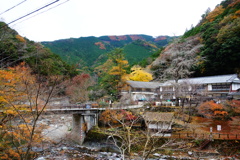 DSC06571