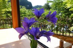 DSC09860