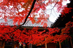松尾寺DSC06409