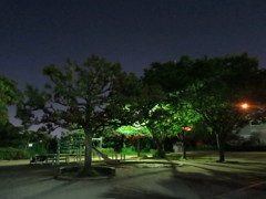 夜の公園IMG_8118