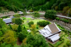 DSC05957