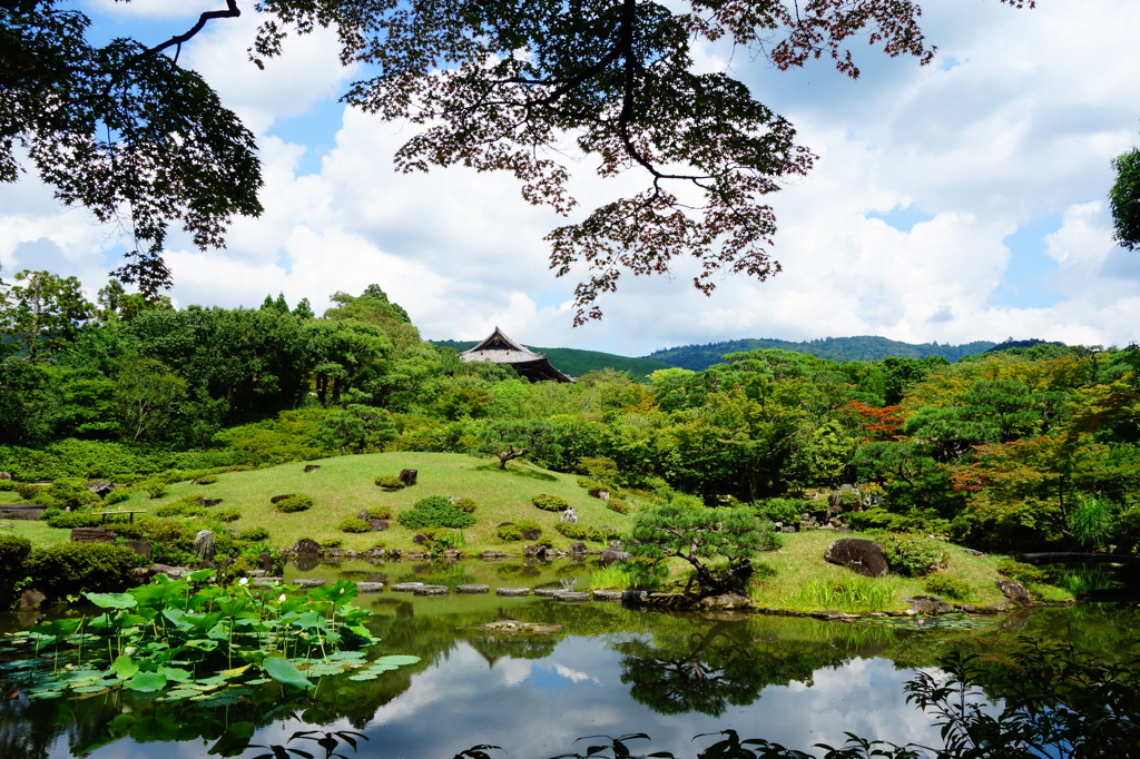 奈良　衣水園DSC02051