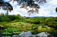 奈良　衣水園DSC02051